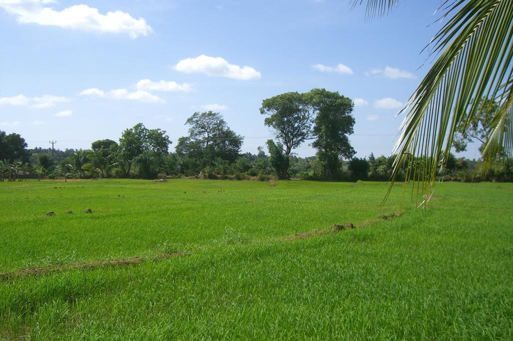 Risenlak Holiday Resort Polonnaruwa Exterior foto